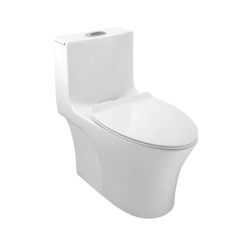 Rimless Single Piece WC Jaquar UAE