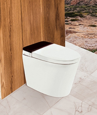 Toilet Seat | Jaquar