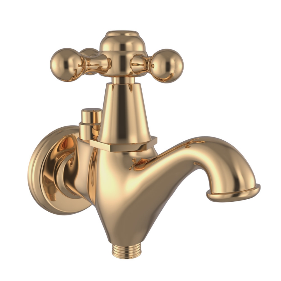 Picture of Two Way Bib Tap - Auric Gold