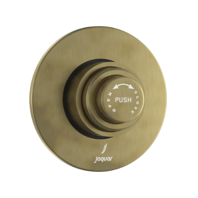 Picture of Metropole Dual Flow In-wall Flush Valve - Antique Bronze