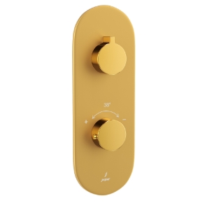 Picture of Aquamax Thermostatic Shower Mixer - Lever: Gold Bright PVD | Body: Gold Matt PVD