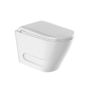 Picture of Rimless Blind Installation Wall Hung WC - White Matt