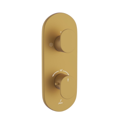 Picture of Aquamax Thermostatic Shower Mixer - Gold Matt PVD