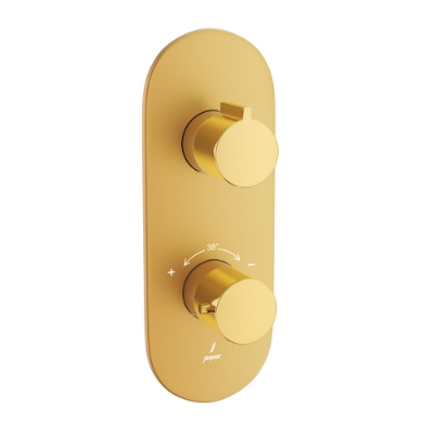 Picture of Aquamax Thermostatic Shower Mixer - Lever: Gold Bright PVD | Body: Gold Matt PVD