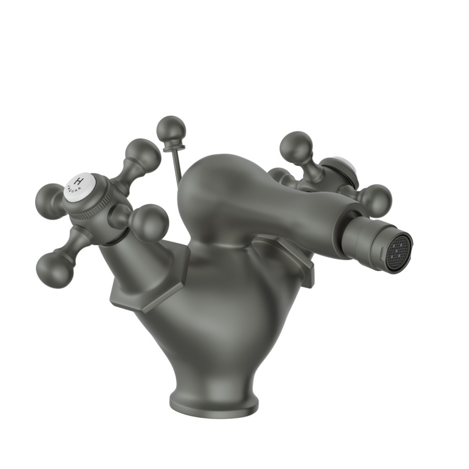 Picture of Monoblock Bidet Mixer with Popup Waste - Graphite